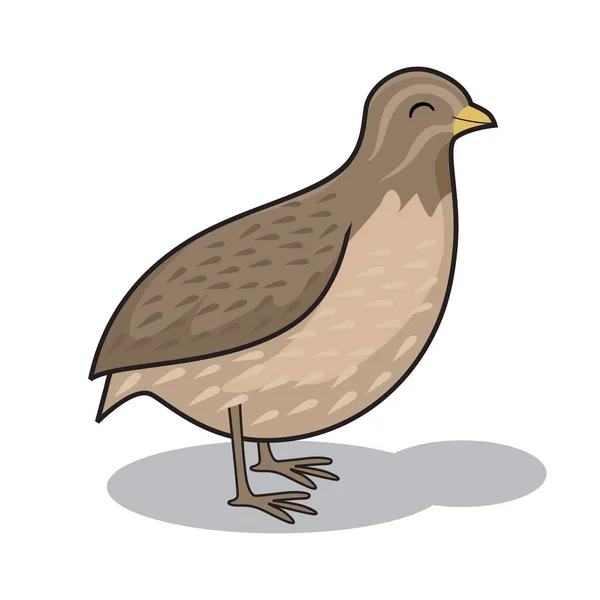 Codorna Pássaro Desenhos Animados Animais Ilustração — Vetor de Stock