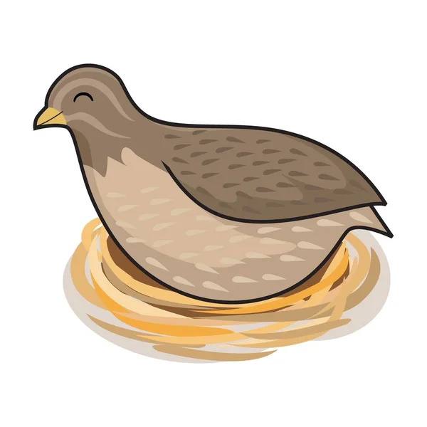 Wachtelvogel Karikatur Nest Animals Illustration — Stockvektor