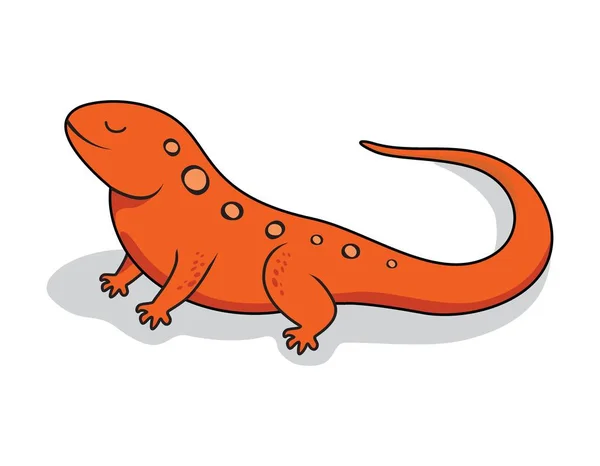 Newt Cartoon Salamander Djur Illustration — Stock vektor