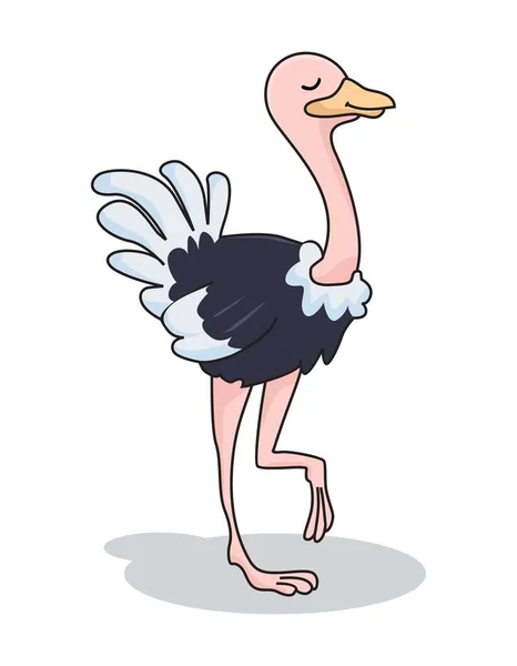 Running Ostrich Vector Art Stock Images ページ 2 Depositphotos