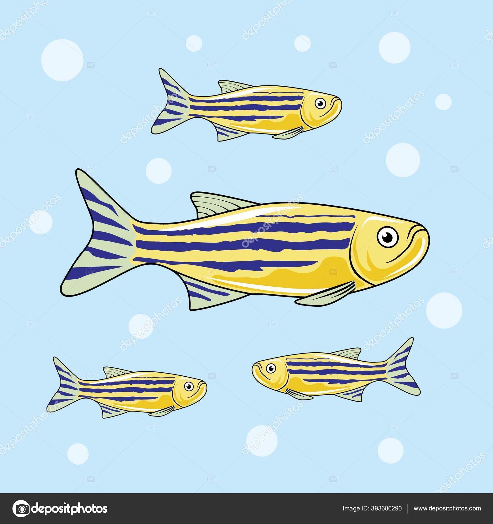 ゼブラフィッシュストックベクター ロイヤリティフリーゼブラフィッシュイラスト Depositphotos