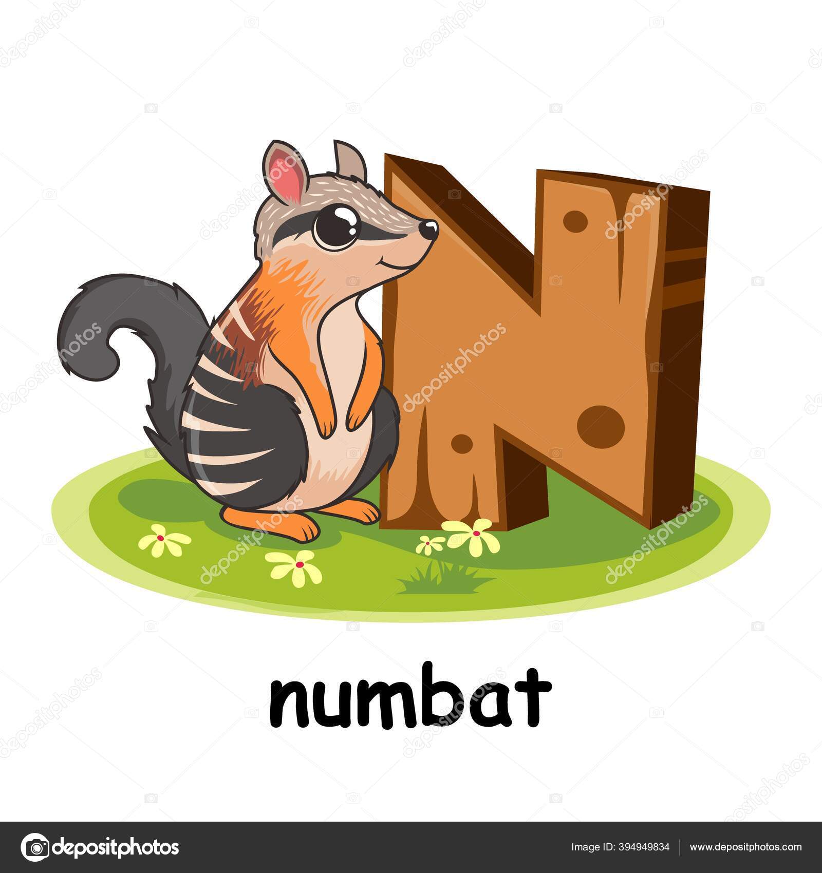 Numbat Cartoon Wood Alphabet Animals Letter Stock Vector Image by ©eriek #394949834 Numbat Cartoon Wood Alphabet Animals Letter Stock Vector Image by ©eriek #394949834
