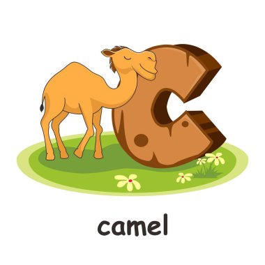 Deve Tahta Alfabe Eğitim Hayvanları Harfi C