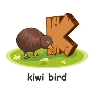 Kiwi Kuş Çizgi Filmi 3D Tahta Alfabe Hayvanlar Harfi K