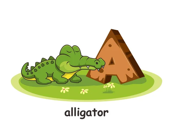 Alligatore Animali Alfabeto Legno Istruzione Lettera — Vettoriale Stock