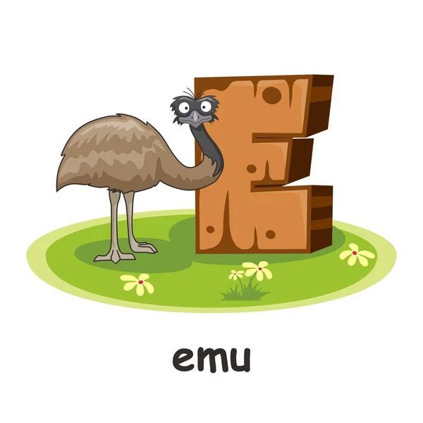 Emu Animali Legno Alfabeto Istruzione Lettera — Vettoriale Stock