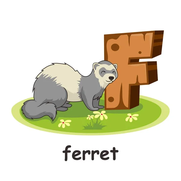 Ferret Wooden Alphabet Education Animals Letter — Stock Vector