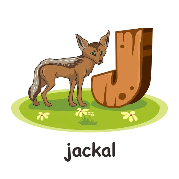 Jackal Cartoon Alfabeto Legno Animali Lettera — Vettoriale Stock