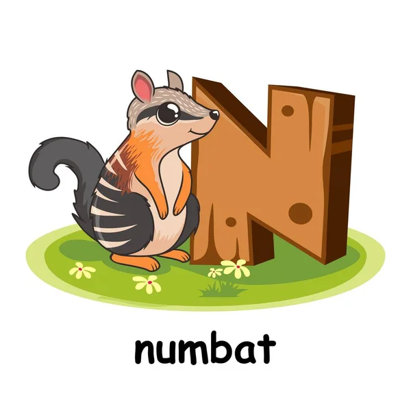 Numbat Cartoon Alphabet Bois Animaux Lettre — Image vectorielle