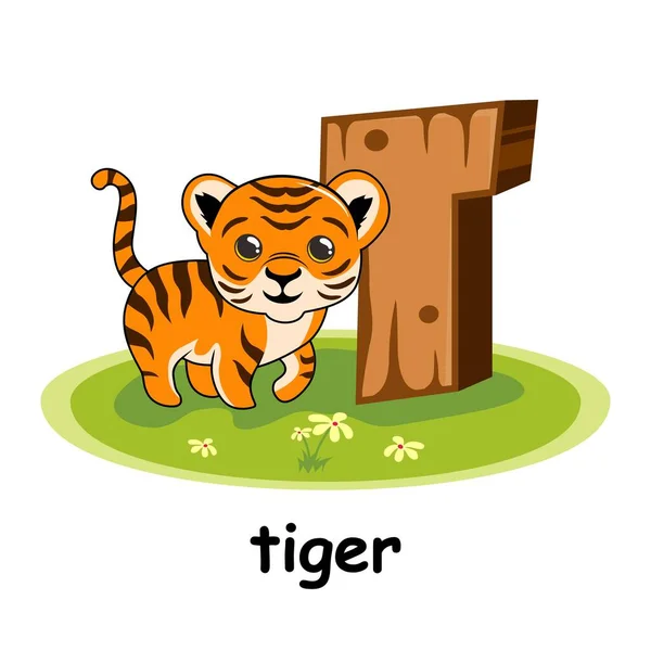 Tigre Dibujos Animados Alfabeto Madera Animales Letra — Vector de stock
