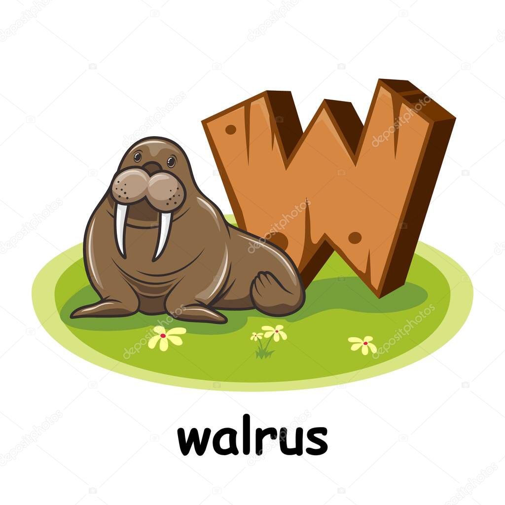 Walrus Cartoon 3D Wood Alphabet Animals Letter W