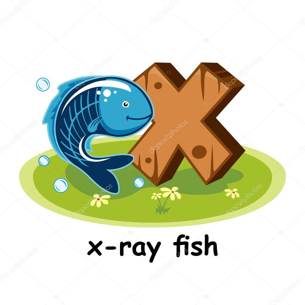 X-Ray Fish Wooden Alphabet Education Animals Letter X