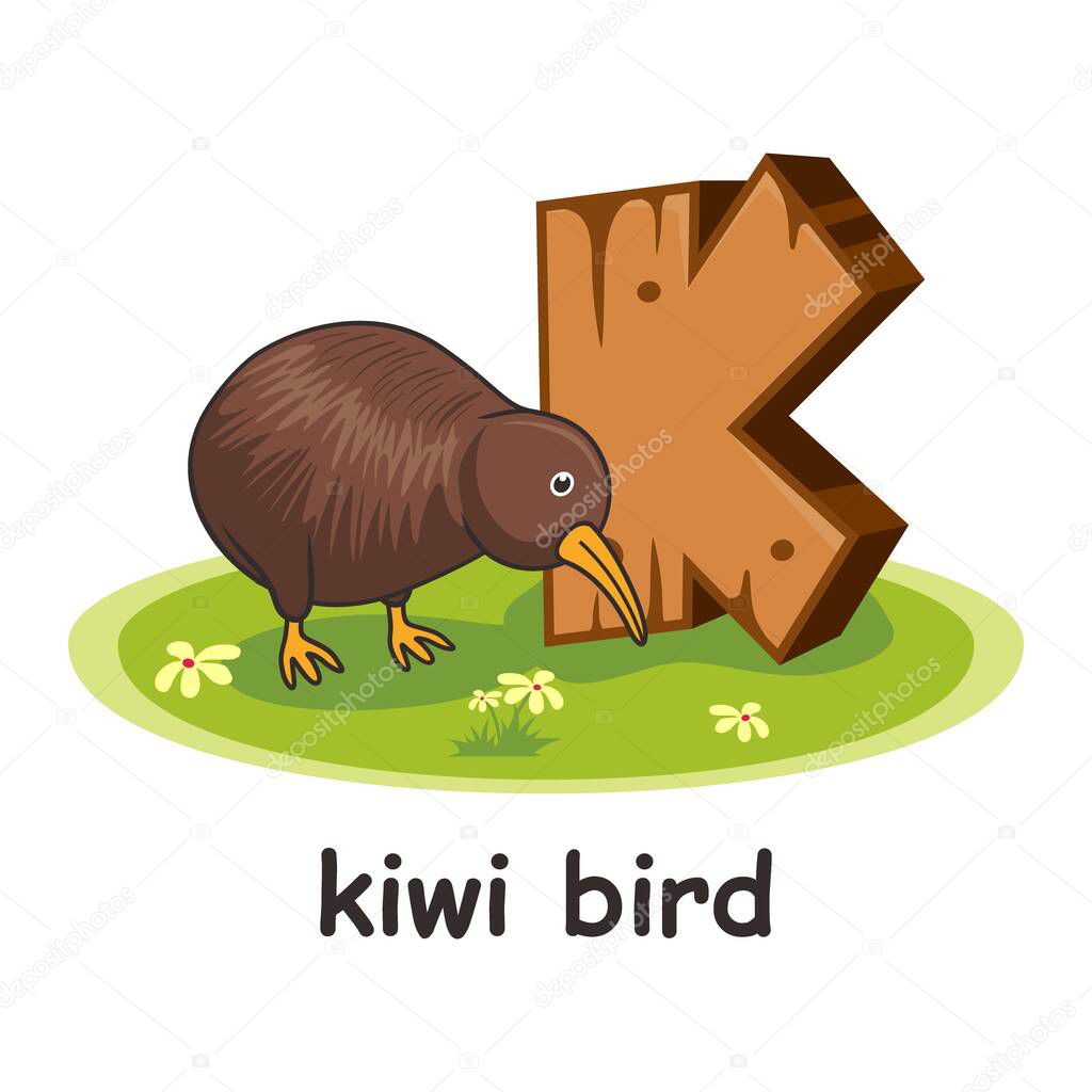Kiwi Bird Cartoon 3D Wood Alphabet Animals Letter K
