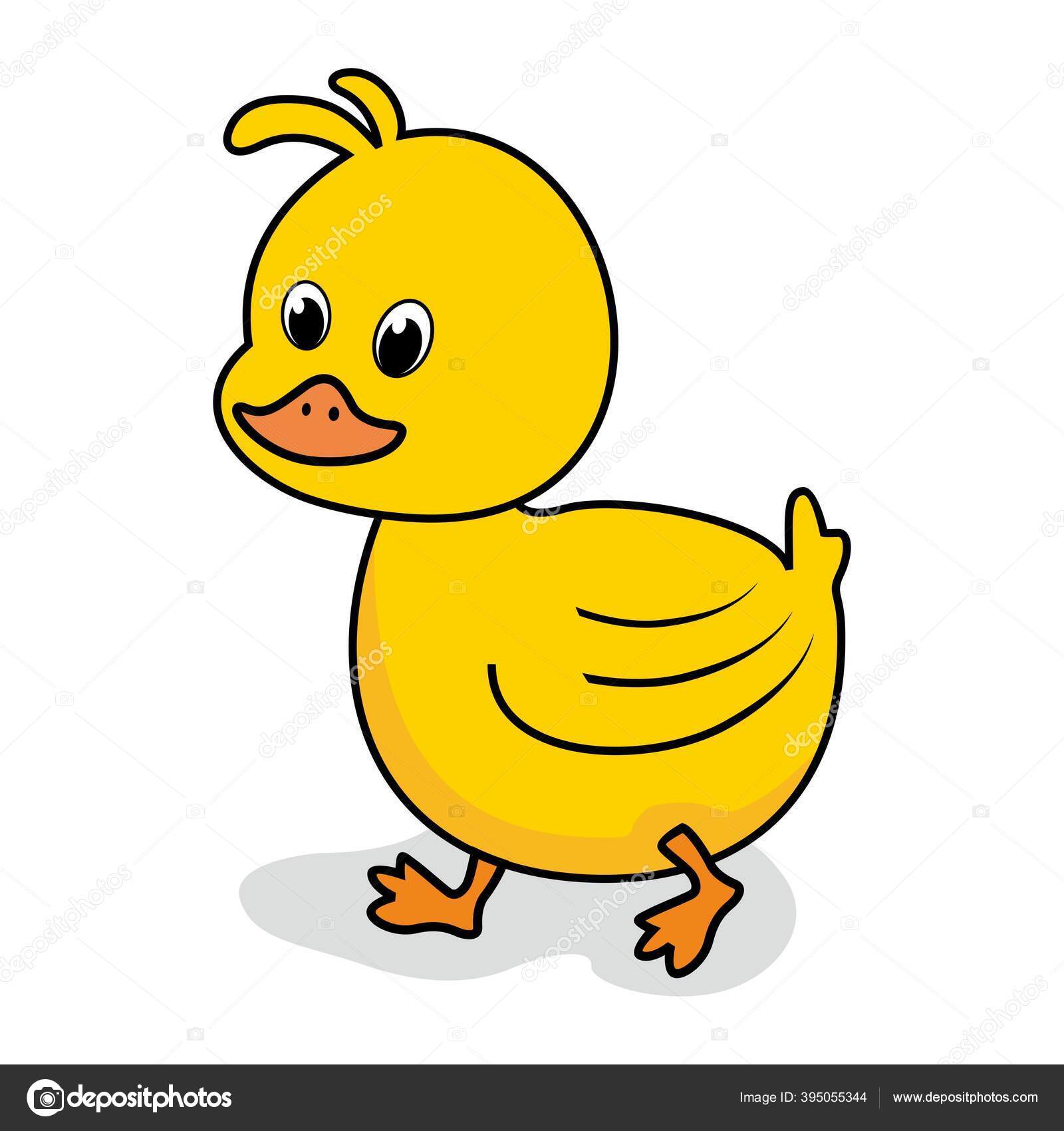 Little Duck Cartoon Cute Isolated Stock Vector Image by ©eriek 395055344