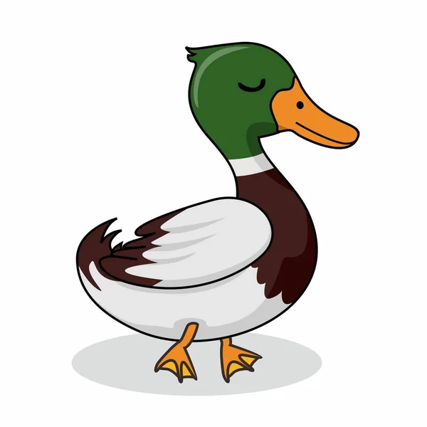 Duck Cartoon Cute Izolowane — Wektor stockowy