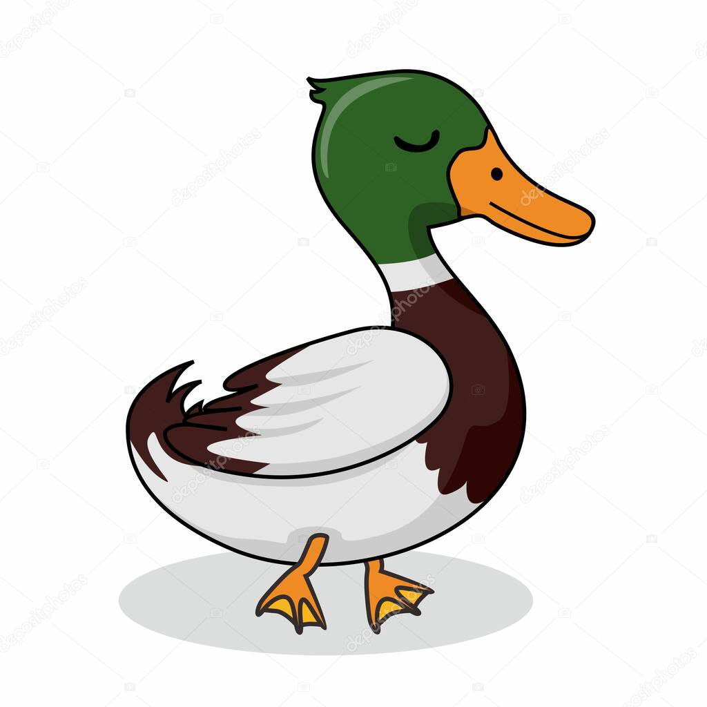 Duck Cartoon Cute Isolated