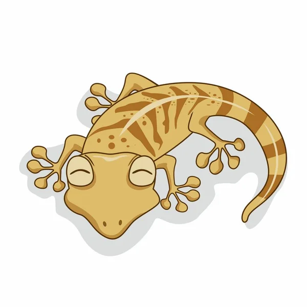 Gecko Dessin Animé Mignon Isolé — Image vectorielle