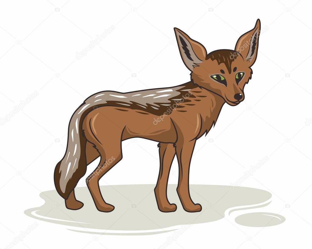 Jackal Cartoon Coyote African Coyote