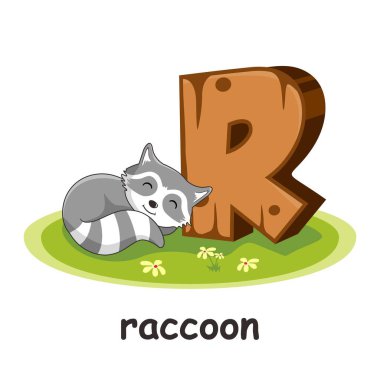 Rakun Hayvanları Tahta Alfabesinin R 'si