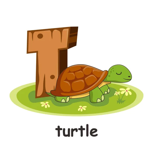 Voor Schildpaddieren Houten Alfabet — Stockvector