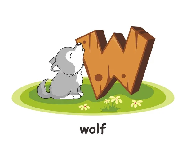 Wolf Animals Wooden Alphabet — Stock Vector