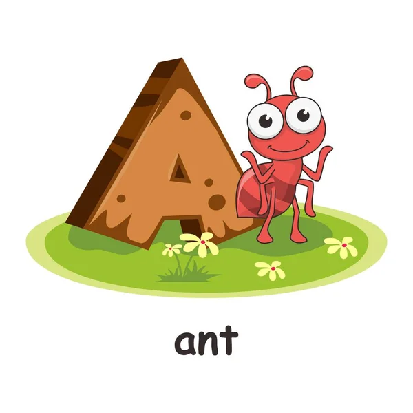 アリ漫画のためのA 3Dアルファベットウッド動物 — ストックベクタ