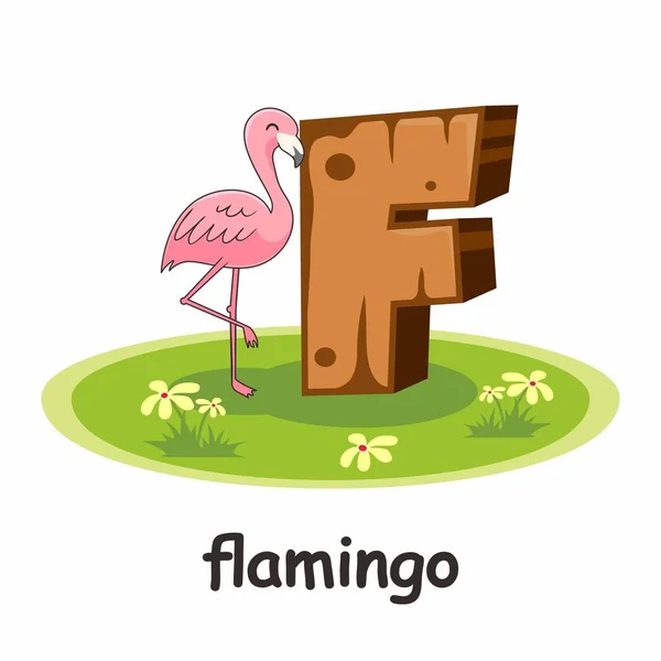 Flamingo Cartoon Alphabet Wood Animals — 스톡 벡터