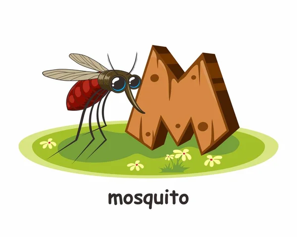 Mosquito Cartoon Alphabet Wood Animals — Stock Vector