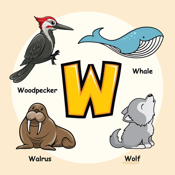 Симпатичные Животные Алфавит Буква Китового Волка Моржа Woodpecker — стоковый вектор