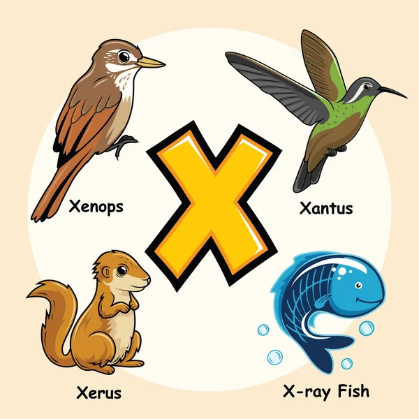 Cute Animals Alphabet Letter Ray Fish Tetra Xenops Xantus Xerus — Stock Vector