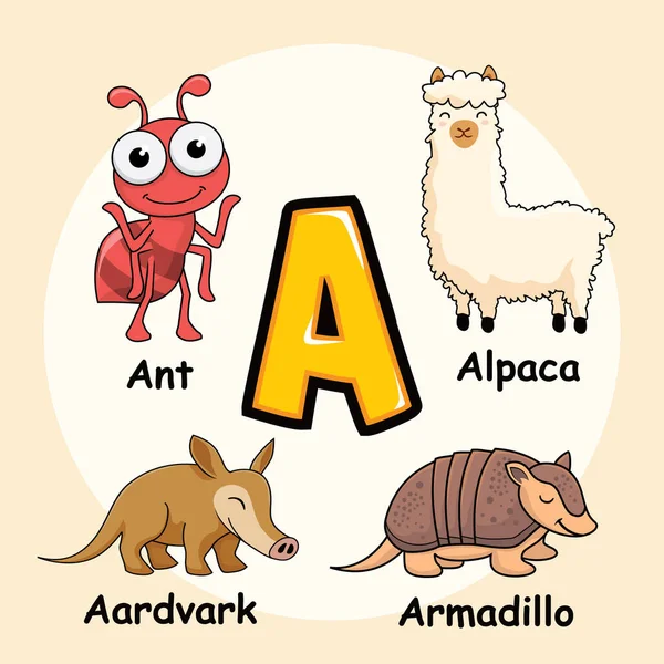 Симпатичные Животные Алфавит Буква Муравья Альпака Aardvark Armadillo — стоковый вектор