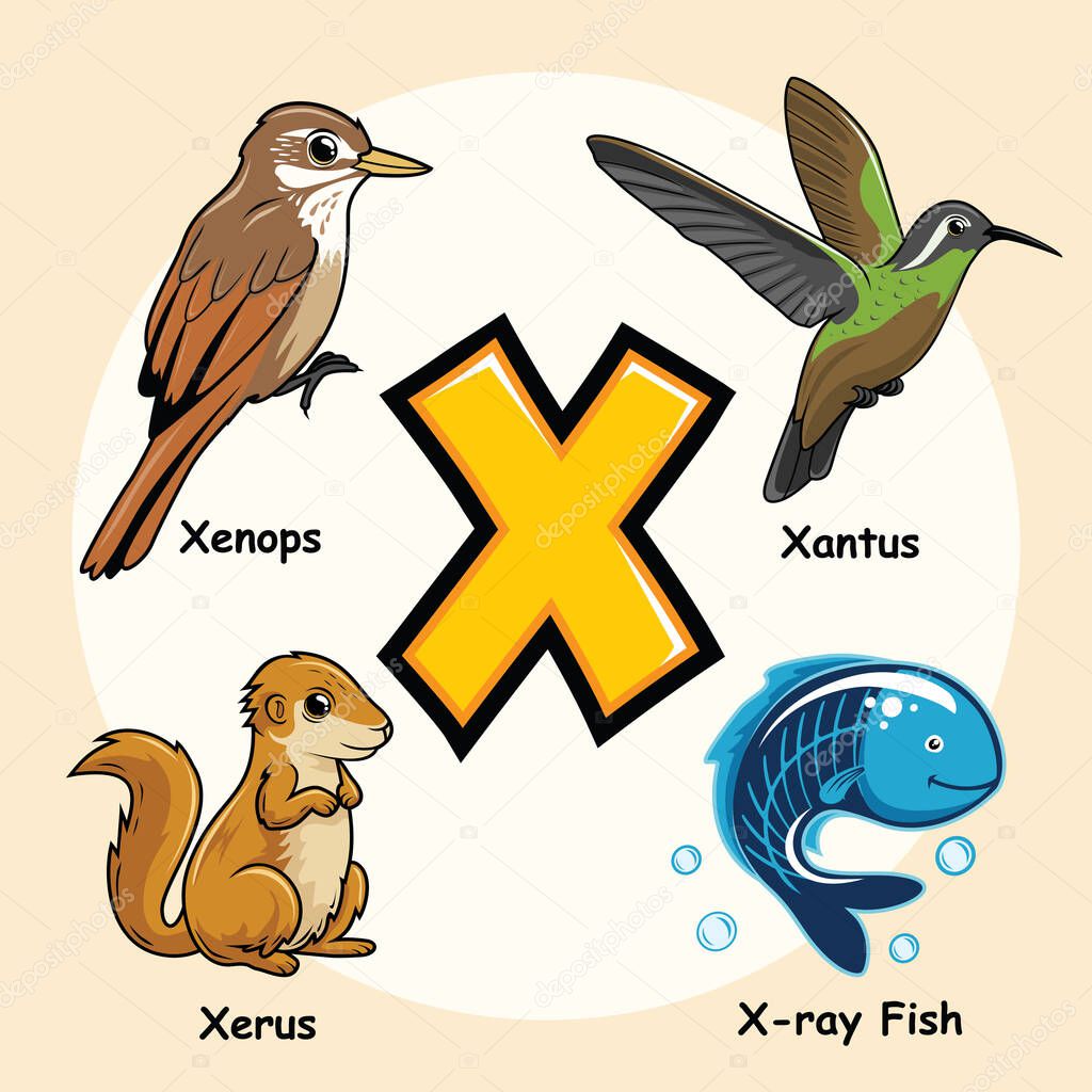 Cute Animals Alphabet Letter X for X Ray Fish Tetra Xenops Xantus Xerus