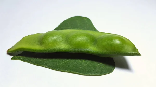 ピジョンエンドウカジャヌスカジャン、熱帯植物 — ストック写真