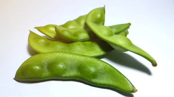 Pigeon pea Cajanus cajan, a tropical plant