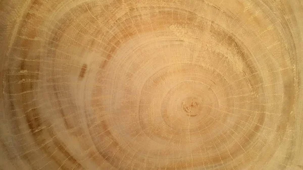 Textura de madeira natural, indica a idade da madeira — Fotografia de Stock