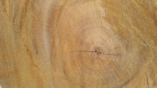 Textura de madeira natural, indica a idade da madeira — Fotografia de Stock
