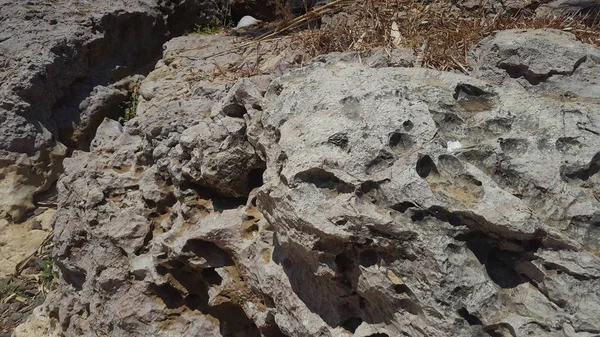 Rock i en flod med naturlig textur bildad av regnvatten och naturlig korrosion — Stockfoto