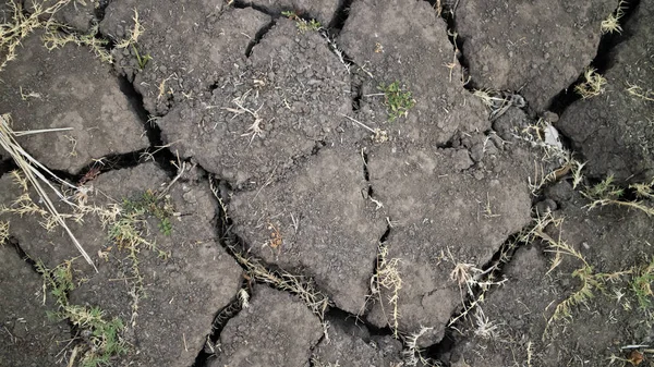The soil texture is cracked due to the long dry season