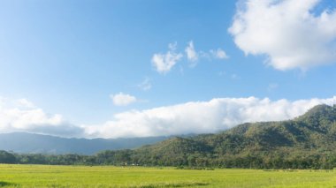 Açık bir günde, bir dağ zeminine ve güzel bulutlara pirinç serpilir. Hoş ve rahatlatıcı bir köy atmosferi.