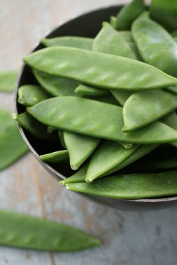 taze uyuz muhbir tabak