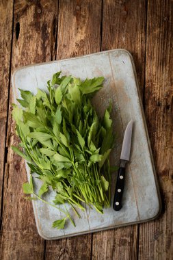 taze düz yaprak maydanoz Grup