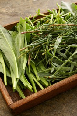 yavrunun kıyı otlar ve yaprakları