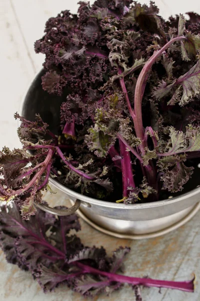 fresh purple kale in colander