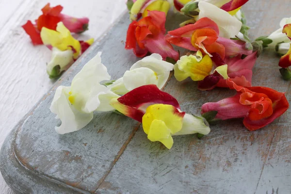 Edible Snapdragon Flowers Wooden Board — Stock Photo, Image