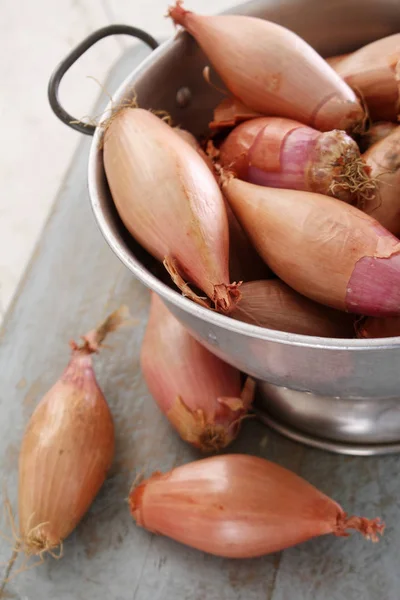 Fresh Raw Shallot Onions — Stock Photo, Image