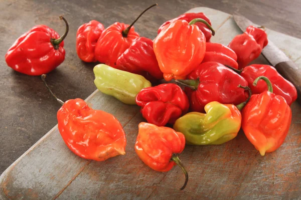 Variasi Chillies Scotch Bonnet — Stok Foto