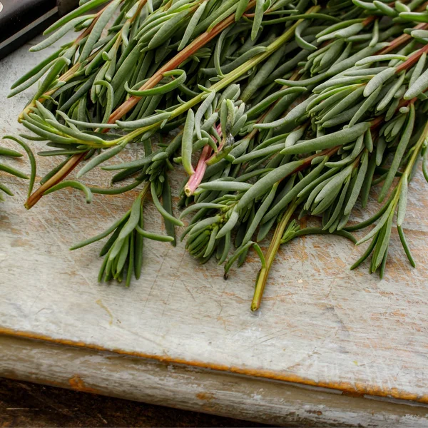 Coastal Herbs Sea Rosemary — Stock Photo, Image