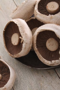 mantar portabello çeşitli yakın çekim