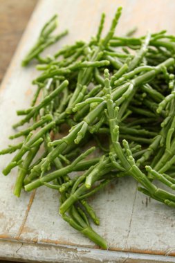 masada samphire hazırlama