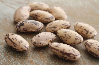masada berlotti fasulye